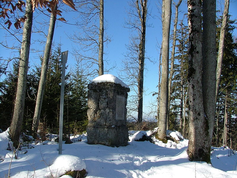 files/tl_filesOPO/Beitraege/Burg Hohentann.jpg